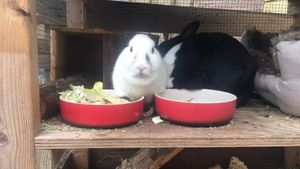 Whats App Image 2021 01 02 at 14 00 26