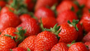 Dreamstimemaximum 54345944