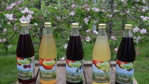 Sapmengelingen_lembi