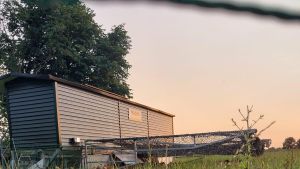 Kippenstalzonsondergang Weiland Eitjes