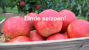 Appels elstar ES