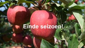 Appels gala ES