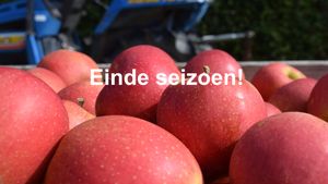Appels wellant ES