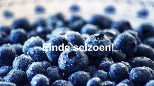 Zachtfruit bbes ES