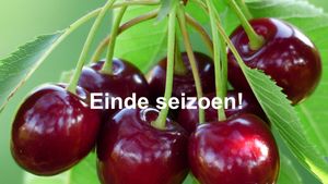 Zachtfruit kersen ES