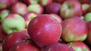 Appels santana