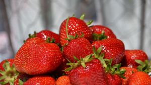 Dagverse aardbeien automaat