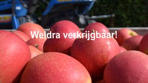 Appels wellant WV
