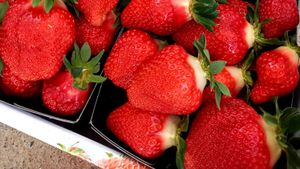Aardbei