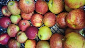 Appel