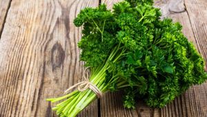 Krulpeterselie bussel