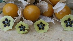 Ananaskers 003 488 390a1628