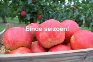 Appels elstar ES