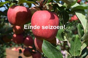 Appels gala ES