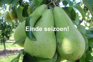Peren conference ES