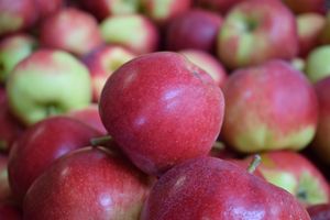 Appels santana