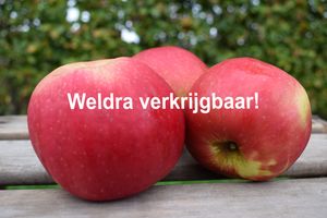 Appels idared WV