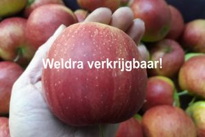 Appels jonagored WV