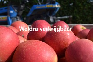 Appels wellant WV