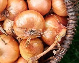 4928 E401 DC22 4867 AC31 19 C6 F99 BB41 F 1