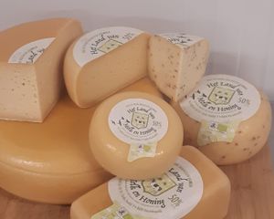 20230209 kazen 080404