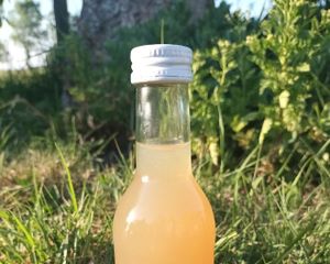 Appelsap2 25