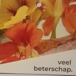 IMG 20230218 172532