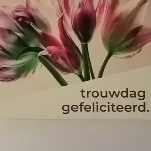IMG 20230218 173155 edit 123361279581697