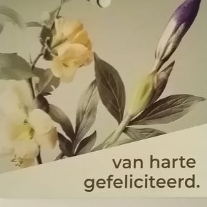 IMG 20230218 173234