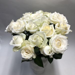witte rozen