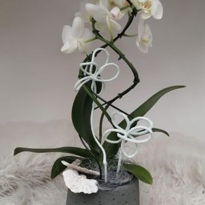 D74be2b3 96b3 45e4 9e18 f2f51d730de6