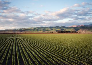 Pexels tim mossholder 974314