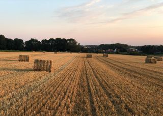 110179097 743107349798796 5680269408592994312 n