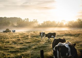 Pexels lukas hartmann 1276237
