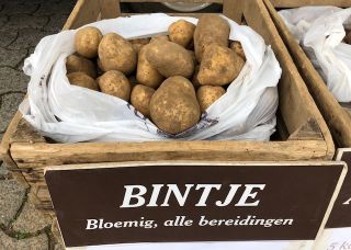 Bintje 5 kg