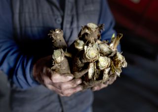 Hoeve Mahieu Nov 2023 58