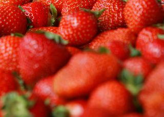 Dreamstimemaximum 54345944