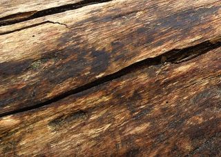 Header wood 1