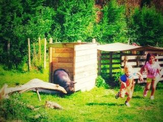 IMG 20210828 105030 987 2