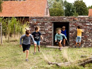 IMG 4601
