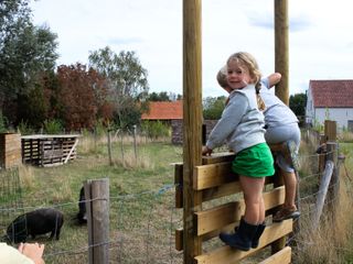 IMG 4786