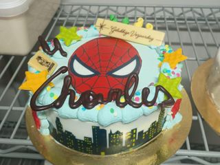 IMG 20241108 181048935 2025 05 24 152627 ldsg