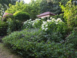 IMG 2712 gijmelstraat