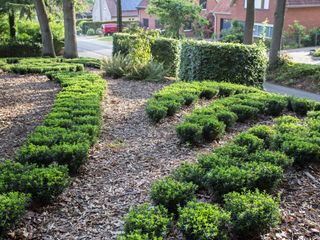 IMG 2768 gijmelstraat