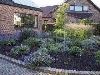 IMG 4524 peeters D min