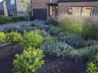 IMG 4539 peeters D min