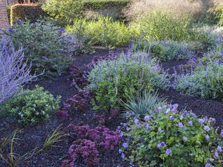 IMG 4540 peeters D min