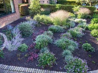 IMG 4545 peeters min