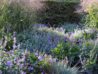 IMG 4580 peeters min