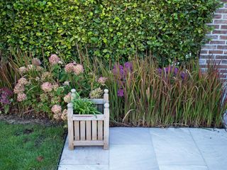 IMG 4621 peeters min 1